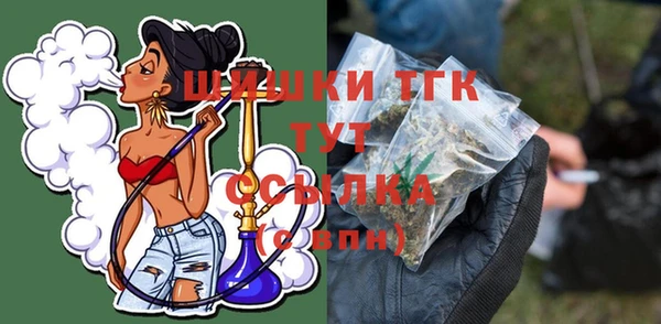 ГАЛЛЮЦИНОГЕННЫЕ ГРИБЫ Михайлов
