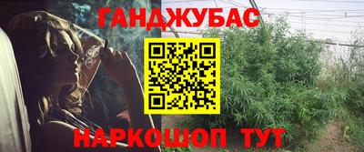 гашик Бийск