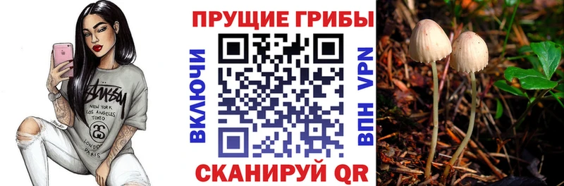 Псилоцибиновые грибы мухоморы  Каменск-Шахтинский 