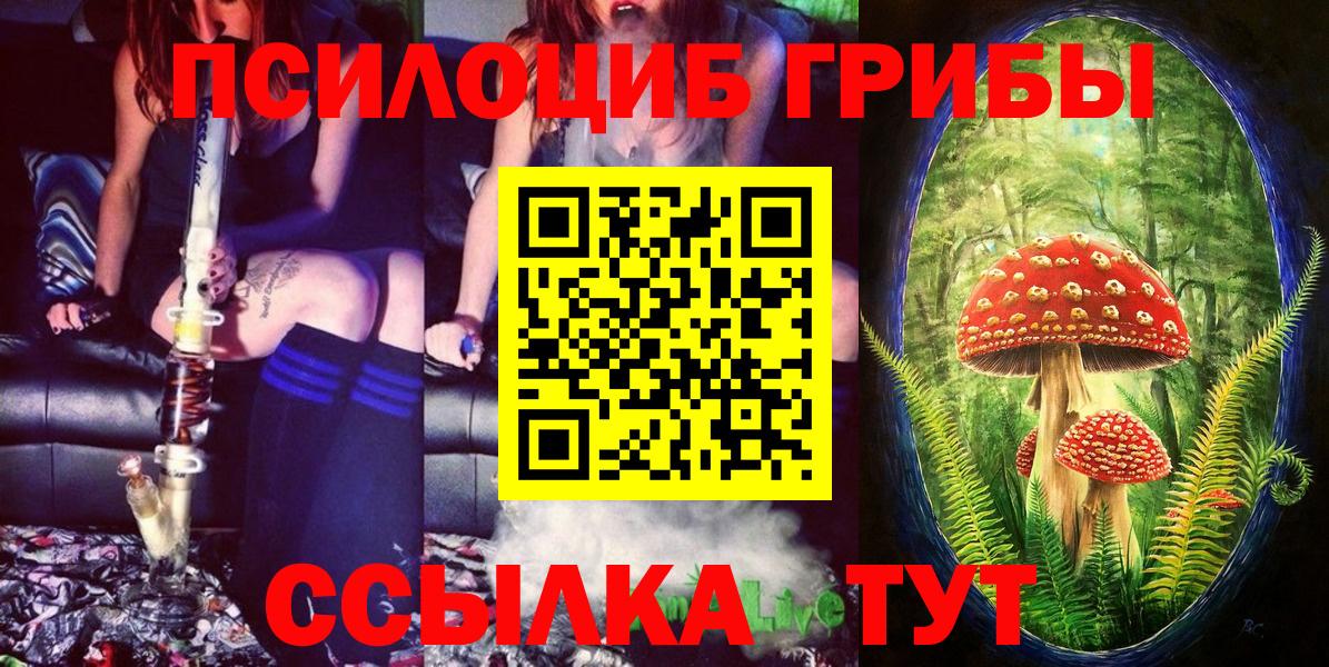 дарнет шоп  Галлюциногенные грибы мицелий  Вход с VPN  Каменск-Шахтинский 